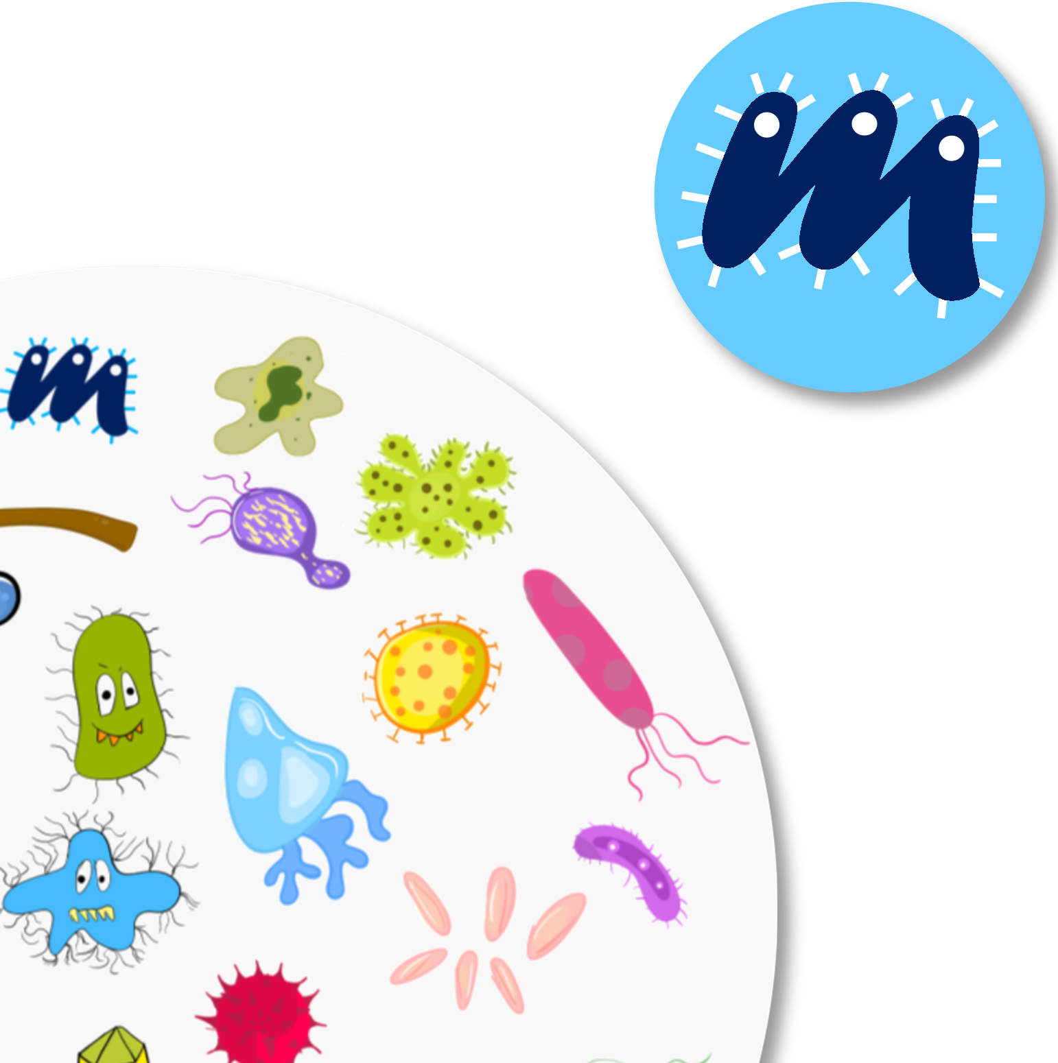 AskMicrobe