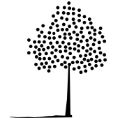 Aspen Analytics