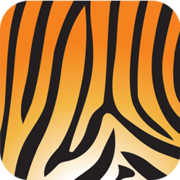 AssetTiger
