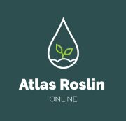 Atlas Roślin