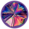 ATOM Consortium
