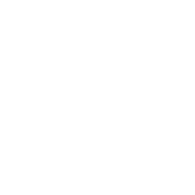 Auction Analytics