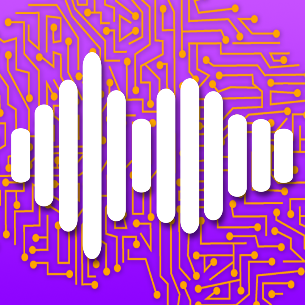 Audio Flashcards