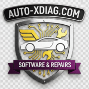 Auto-XDiag