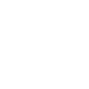 AutoDesSys