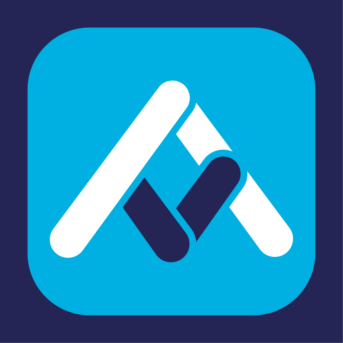 Aviatize