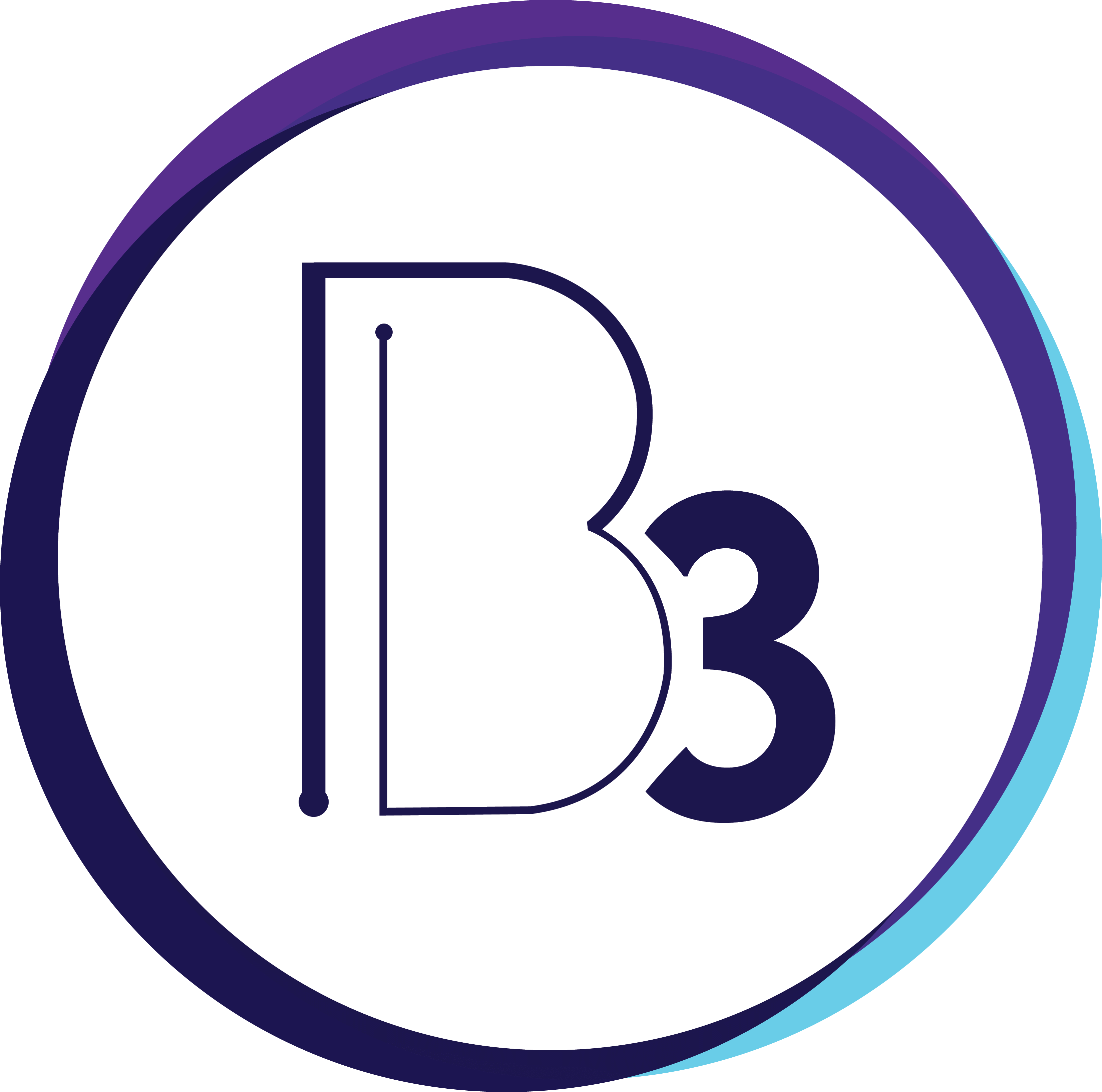 B3