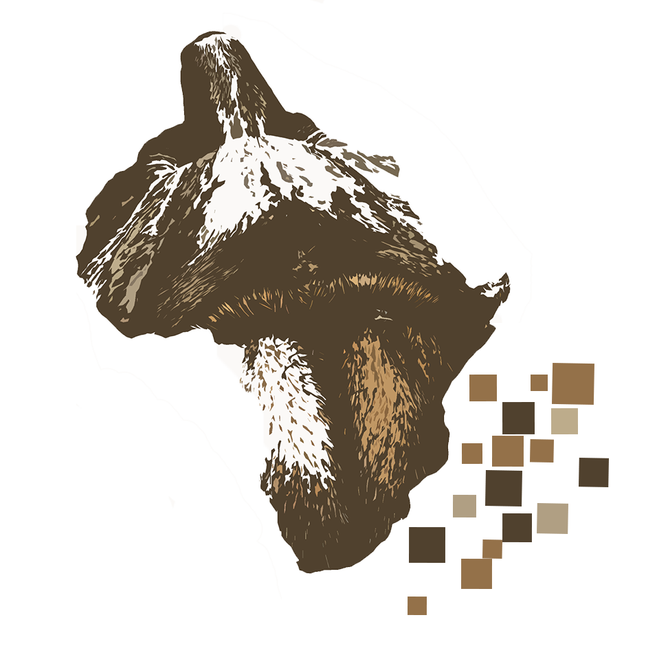 Baboon Spider Atlas