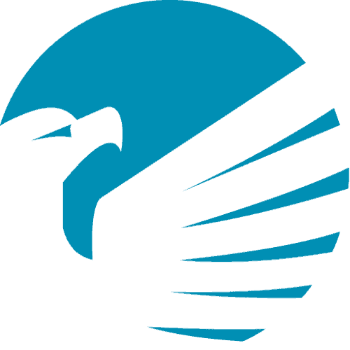 BACKUP EAGLE