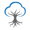 Banyan Medical Solutions