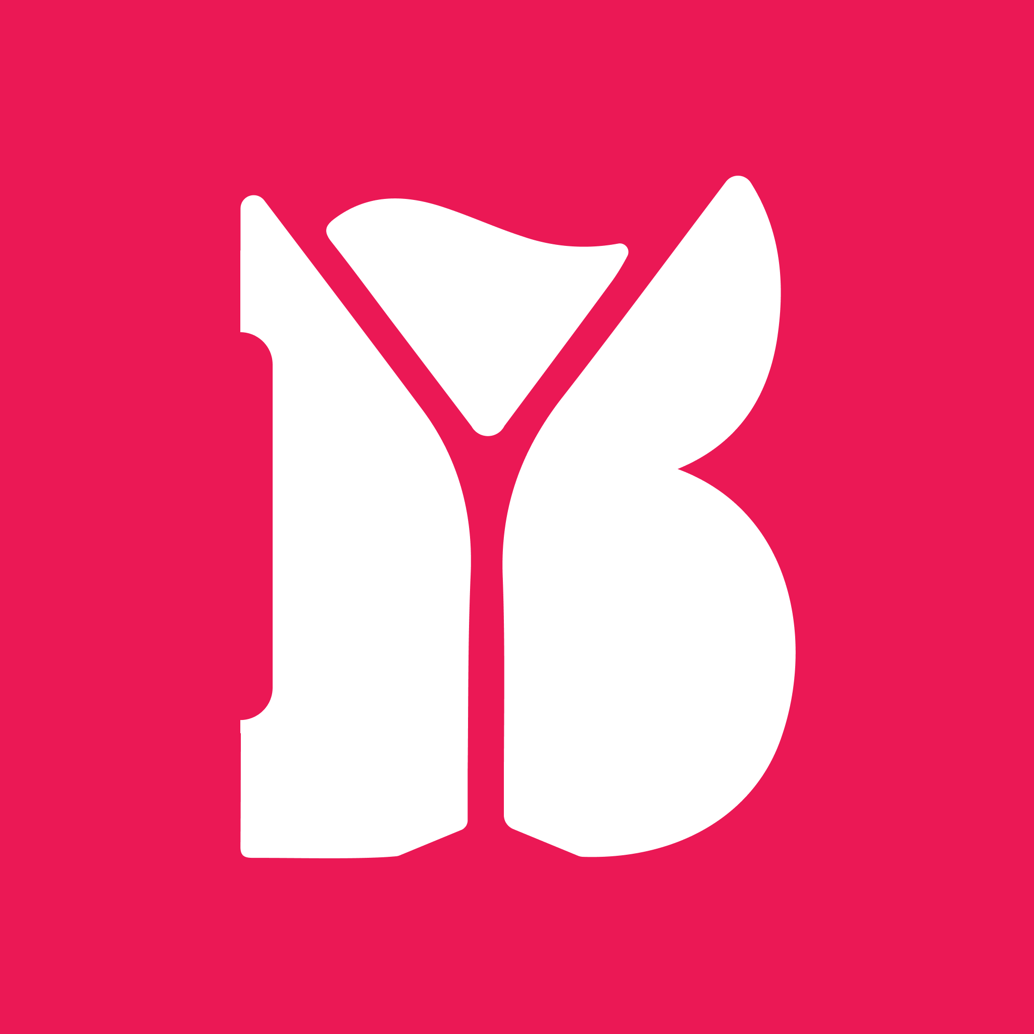 Barfliz