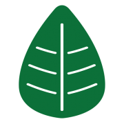 Basil Menu
