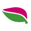 Basil Software