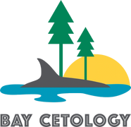 Bay Cetology