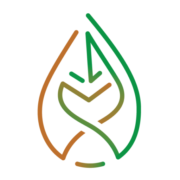BBioNets Platform