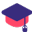 BD Professional Skills