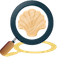 Beach Detector