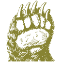 Bear Technologies