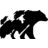 Bear and Brook Consulting