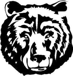 BearPoint