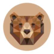 BearID Project