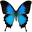 Beautiful Life Apps