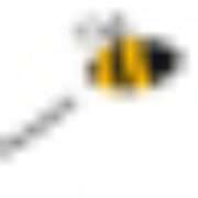 BeeSmart