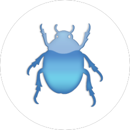 Beetle