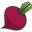 Beetroute