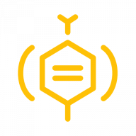 Bee Web Dev