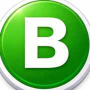 Best Paystub