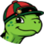 BetTurtle