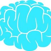 BigBrain3D