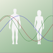 Biorhythm Online
