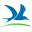 Bird-Song.ch