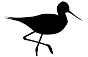 birdcore
