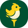 Birdie Board