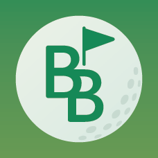 BirdieBongo
