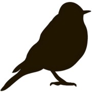 BirdMap