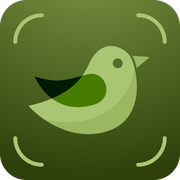 Bird Identifier Guide