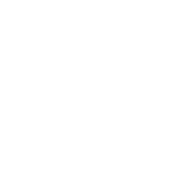 Birdseye Labs