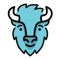 BISON