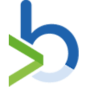 Bit Systems