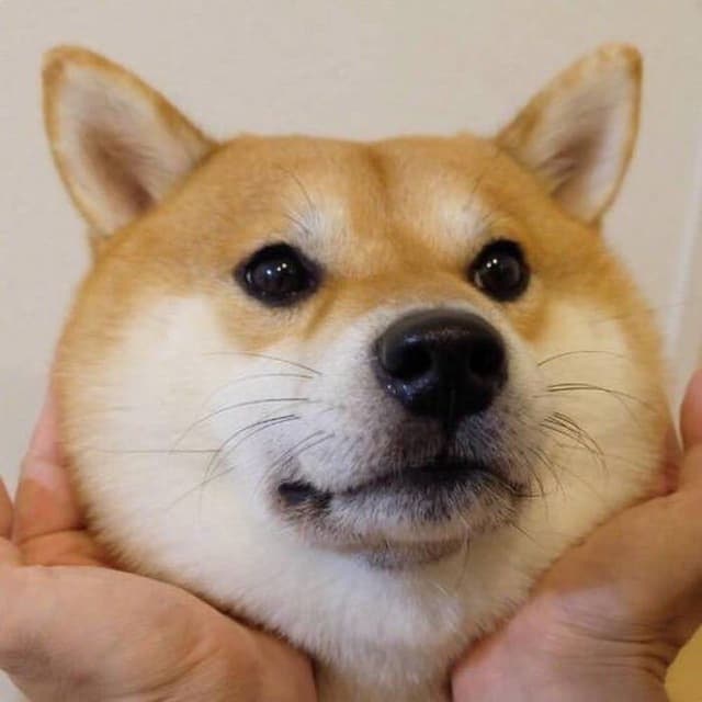 BitCloud