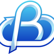 Bizflow