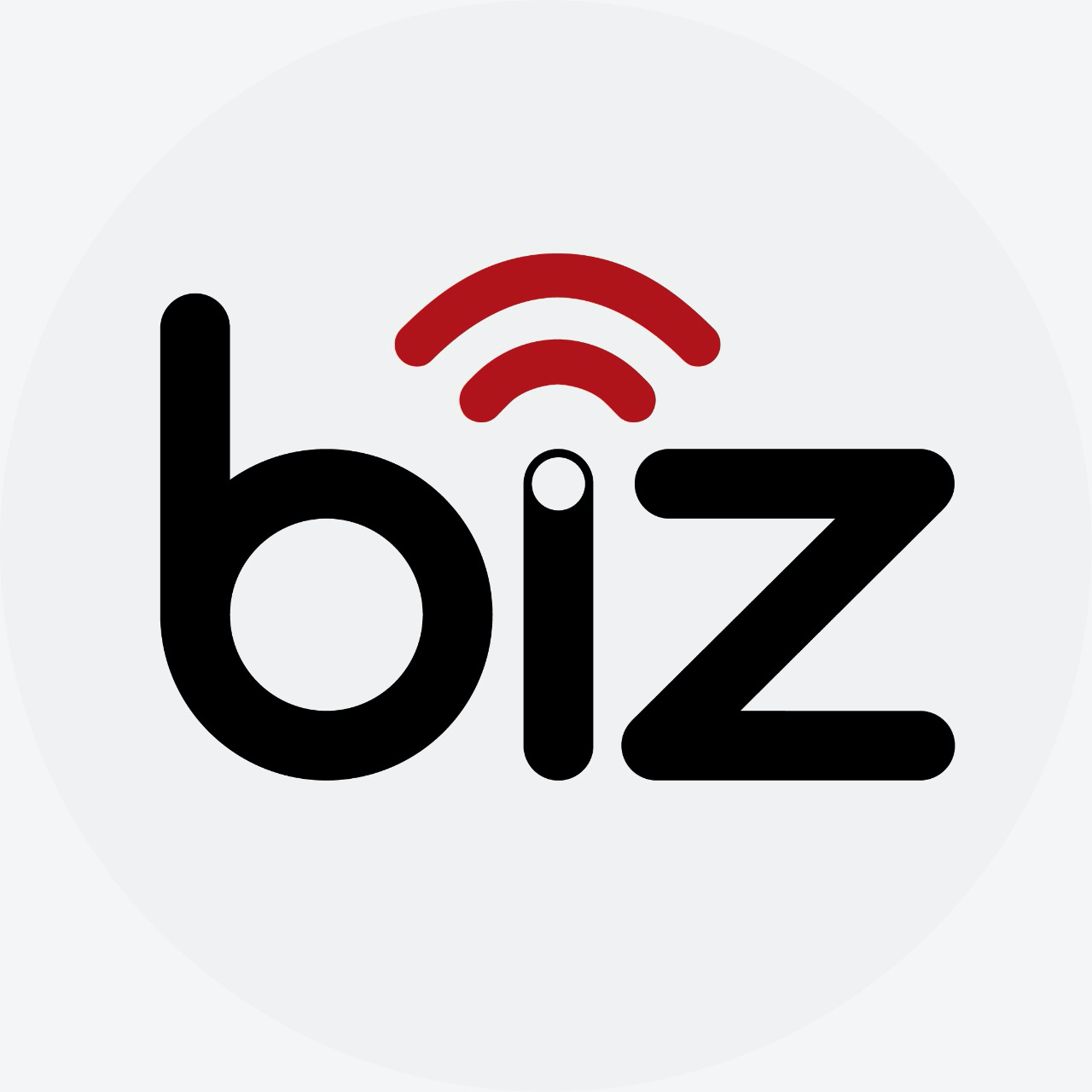 BIZ System