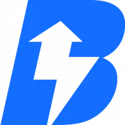 Bizzi