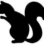 Black Squirrel Timing
