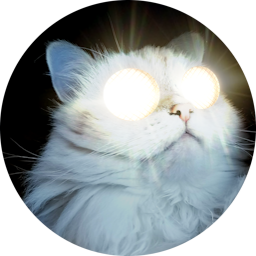 BlinderKitten