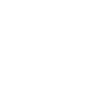 Blinest